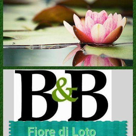 ليماتولا Fiore Di Loto المظهر الخارجي الصورة